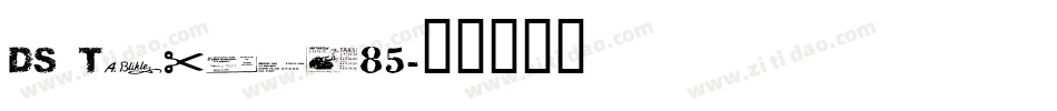 DS Ticket85字体转换